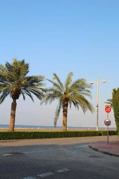 Ajman free zone